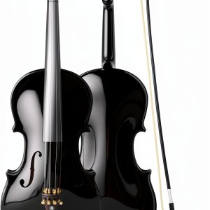 Violin for Beginners Black Wood Musical Instrument-0