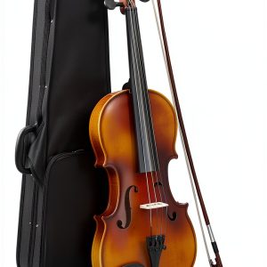 Violin for Beginners Matte Finish Spruce Maple-0